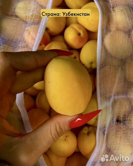 Свежие абрикосы / черешня / нектарин