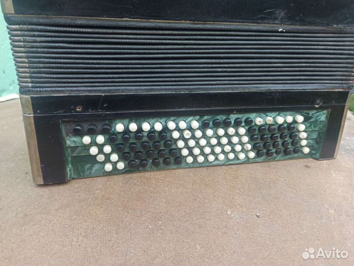 Баян любительский