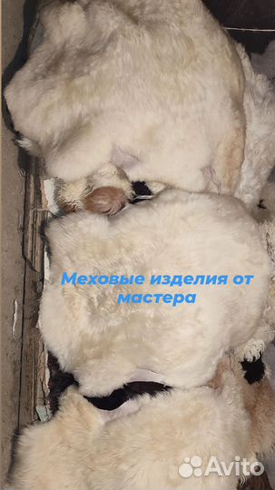 Шкуры овечьи козьи натуральные