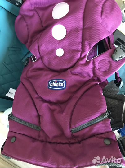 Кенгуру chicco