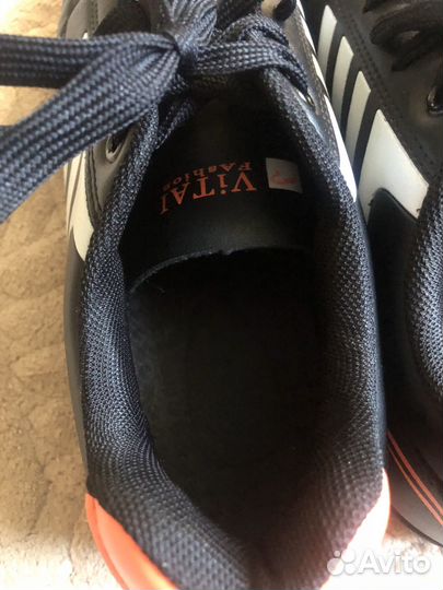 Сороконожки