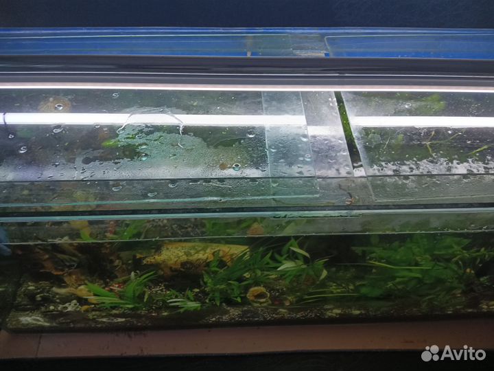 Аквариум с тумбой 240