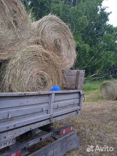 Сено в рулонах