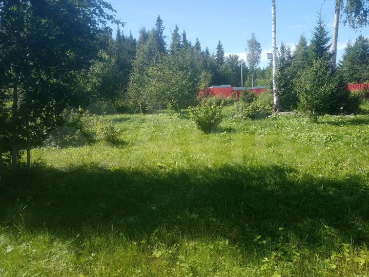 Участок 13 сот. (СНТ, ДНП)