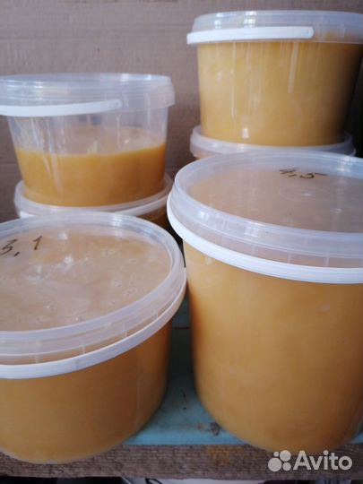 Мед Алтайский