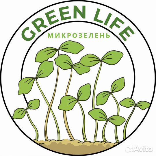 Микрозелень