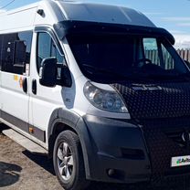 Городской автобус FIAT Ducato, 2013