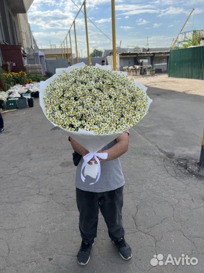 Букеты из ромашек