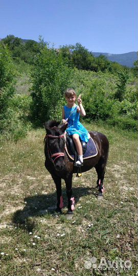 Прогулки на пони в Ялте Обучение В.Е