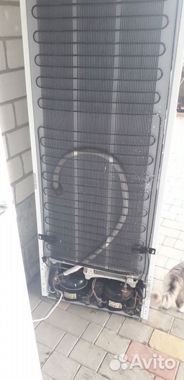 Холодильник vestel