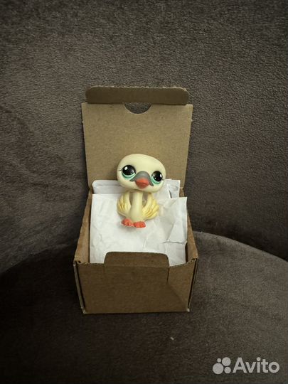 Петшоп лебедь