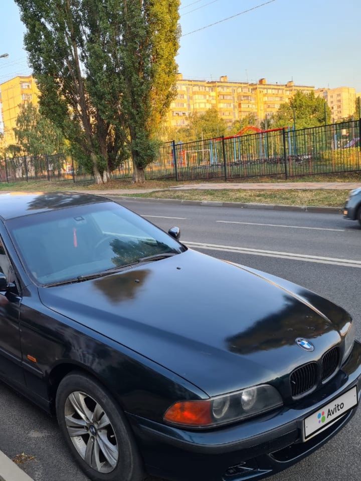BMW 5 серия: фото владельца