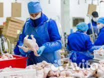 Фасовщик-упаковщик/ца вахта в Тамбов с жильем