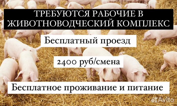 Разнорабочие на ферму- вахта с проживанием