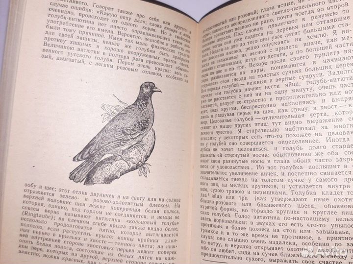 Про охоту. Аксаков Записки ружейного охотника