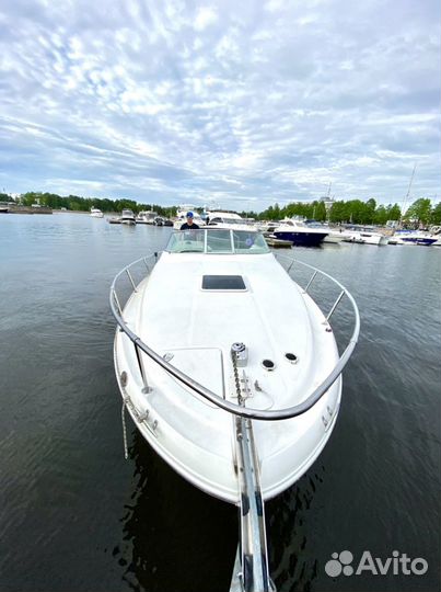 Аренда Комфортабельного Катера, Катер в аренду