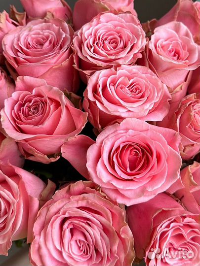 Букет из роз,доставка, цветы Калининград