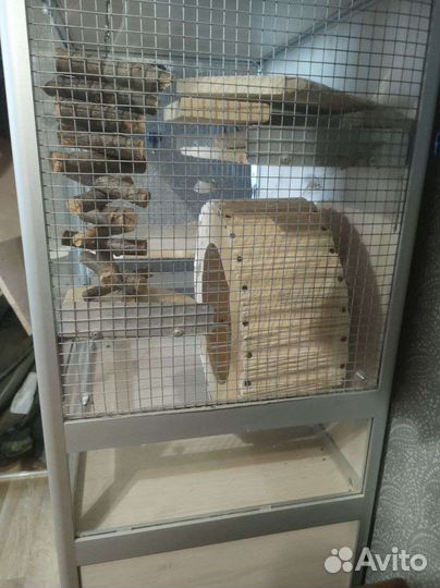Витрина для шиншилл/дегу