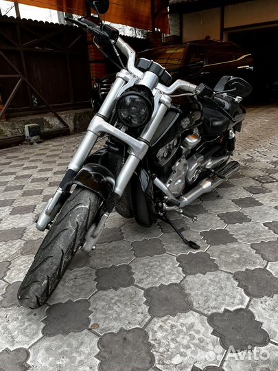 Harley-Davidson V-ROD muscle