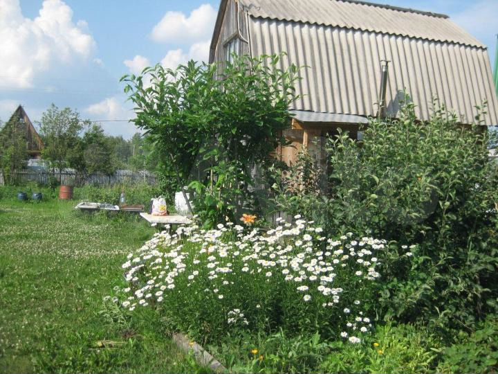 Дача авито томск. Дача Томск. Садовое товарищество Содружество Томского района. Аникино фото. Снять дачу в Аникино Мичуринский участок на лето в Томской области.