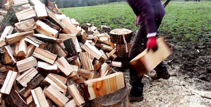 Дрова в СПБ