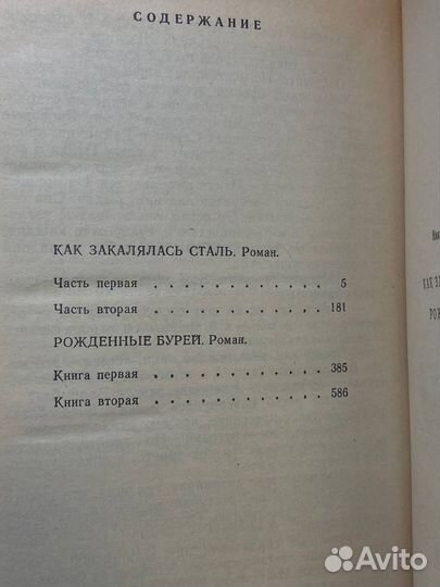 Как закалялась сталь. Рожденные бурей