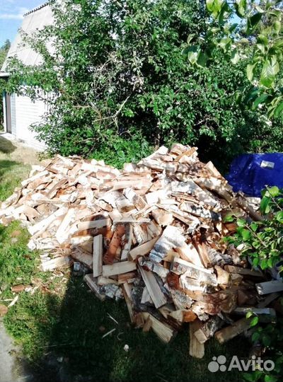 Дрова Березовые подготовленные любые