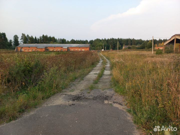 Фермерское хозяйство