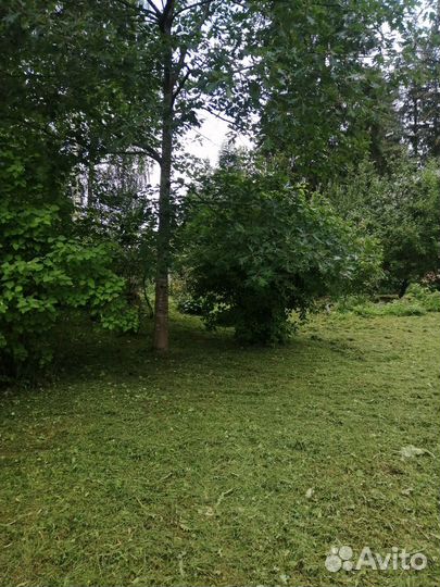 Покос травы и бурьянов газонокосилкой, триммером