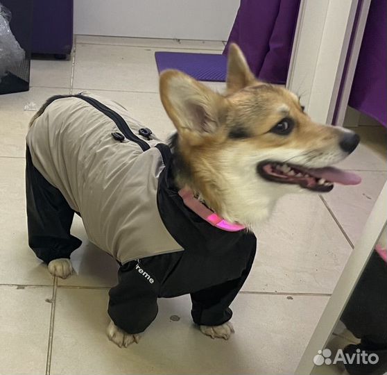 Дождевик для собак средних пород 2XL