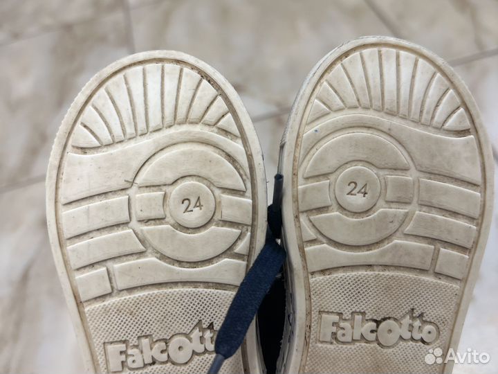 Falcotto 24
