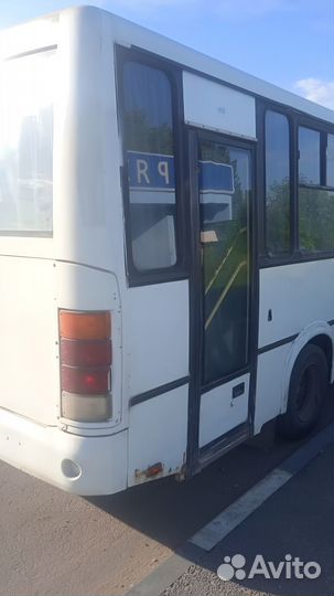 Аренда автобуса Паз. Доставка сотрудников