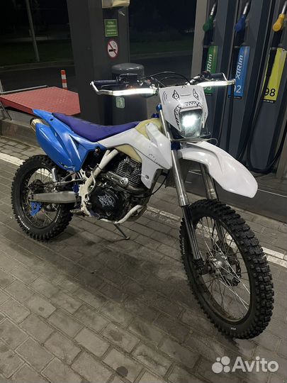 Avantis fx 250 lux