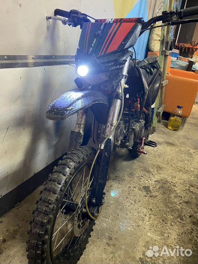 Irbis ttr125r