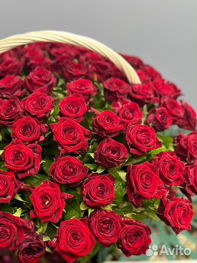 101 Роза в Корзине с Доставкой