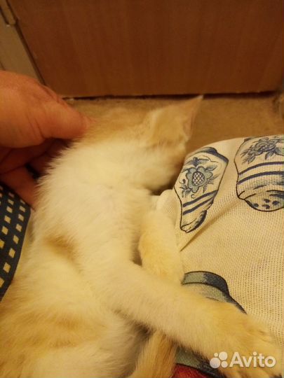 Милый малыш