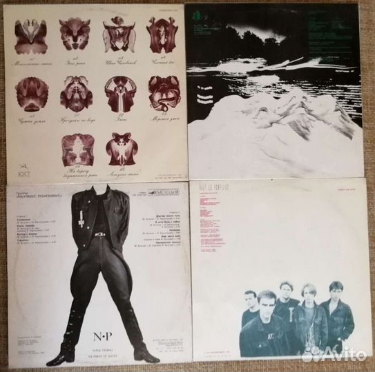 Наутилус Помпилиус