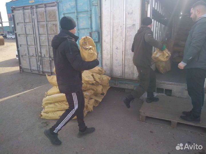 Грузчики и грузоперевозки