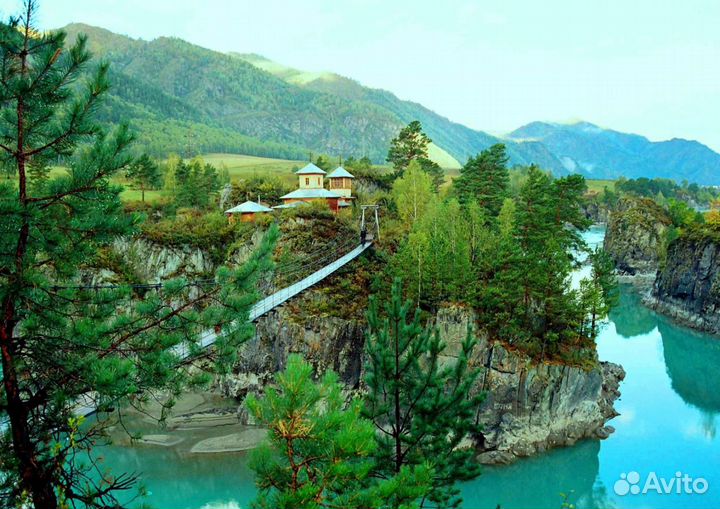 Алтайская Одиссея (Два Алтая)