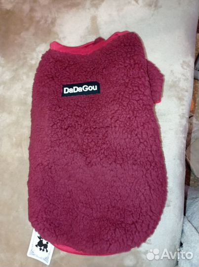 Одежда для собак