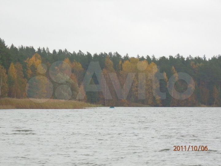 Участок 60 сот. (СНТ, ДНП)