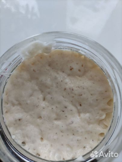 Закваска для хлеба пшеничная