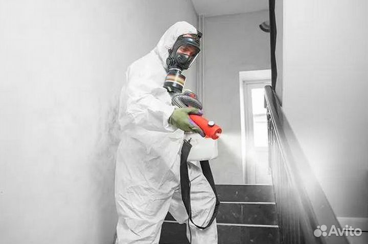 Средство для Уничтожения клопов Дезинсекции тараканов