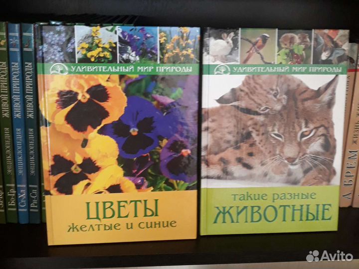 Книги разные