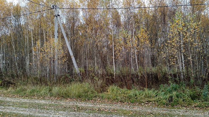 Участок 20,5 сот. (ИЖС)