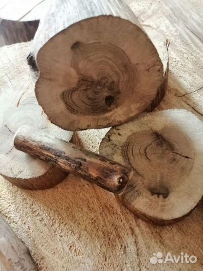 Набор для творчества из природных материалов