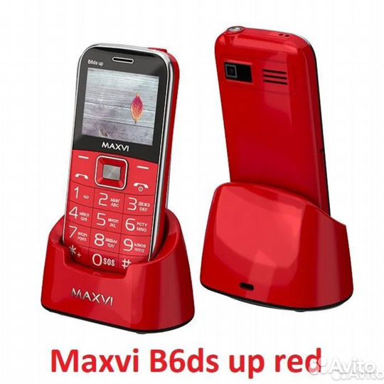 MAXVI B6ds up