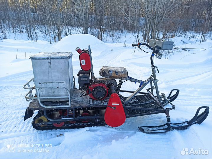 Мото собака