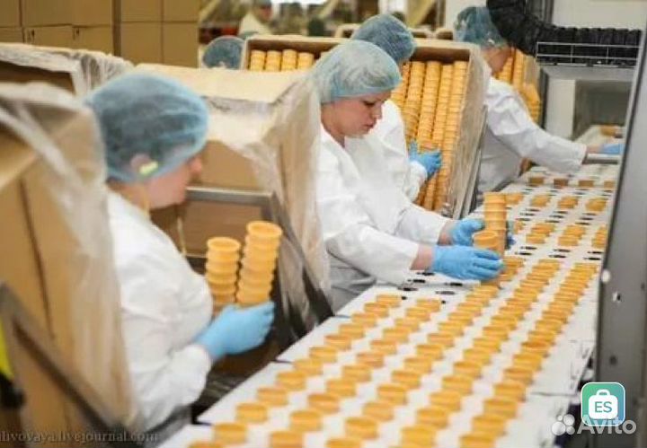 Упаковщик(ца) мороженого вахта