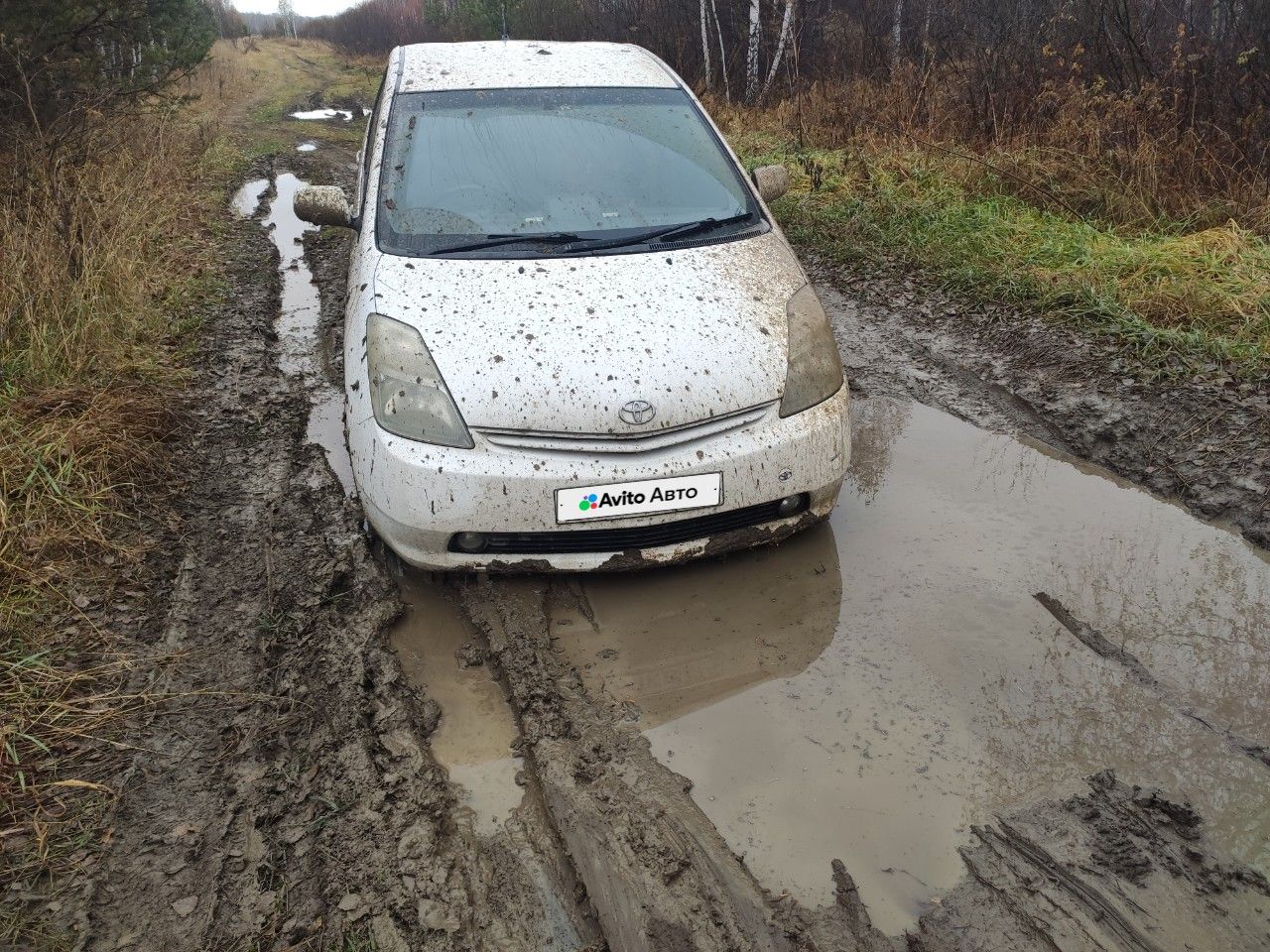 Toyota Prius: фото владельца